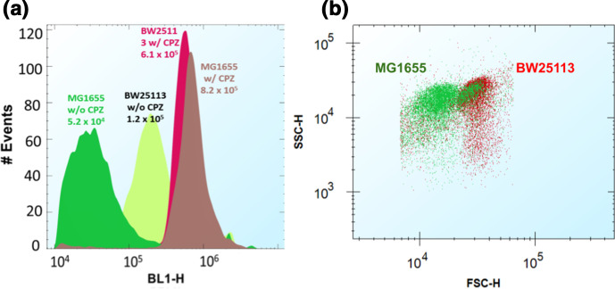 Fig. 8.