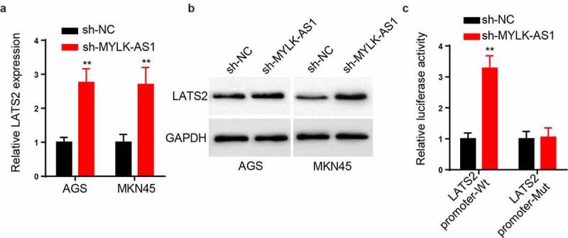 Figure 4.