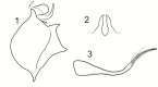 Figure 8a.
