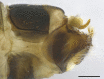 Figure 7c.