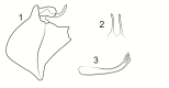 Figure 8c.