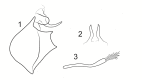 Figure 8b.