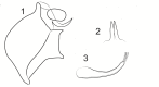 Figure 8d.