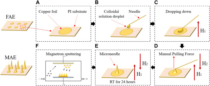 FIGURE 1