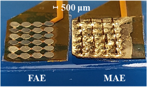 FIGURE 2