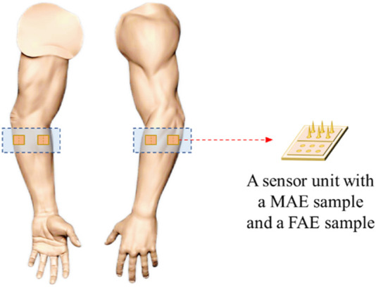 FIGURE 3