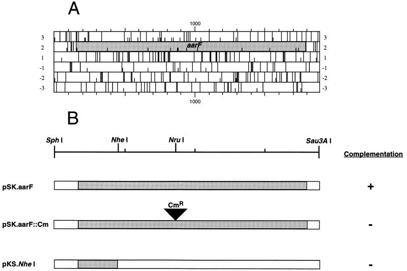 FIG. 1