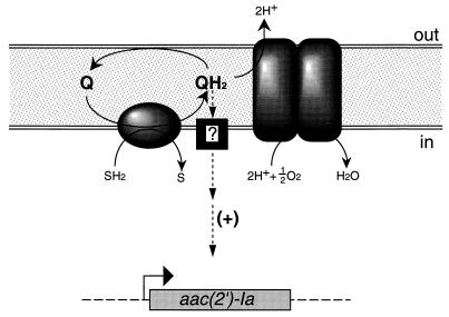 FIG. 6