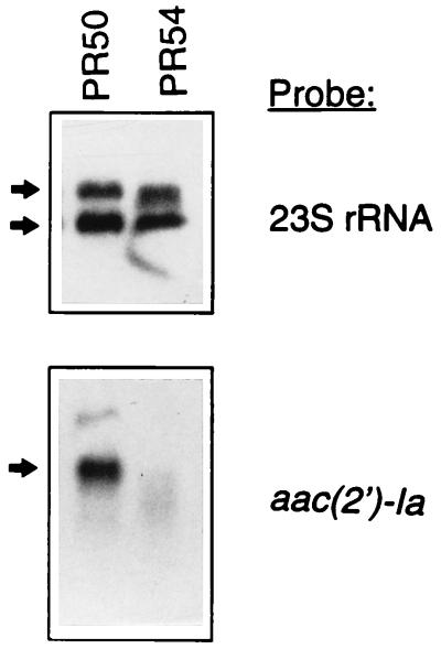 FIG. 5