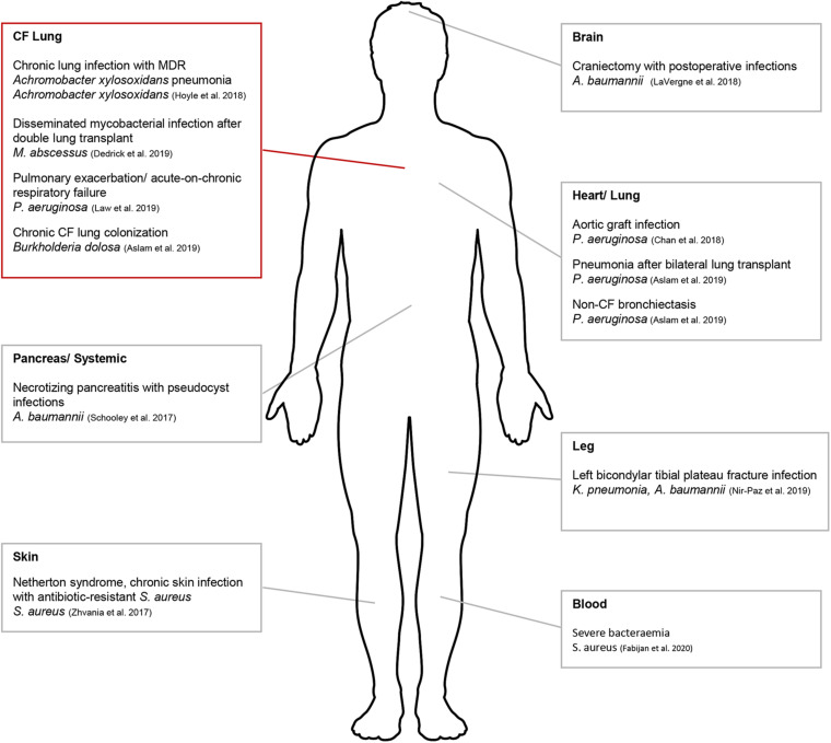 FIGURE 1