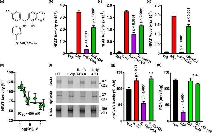 FIGURE 1