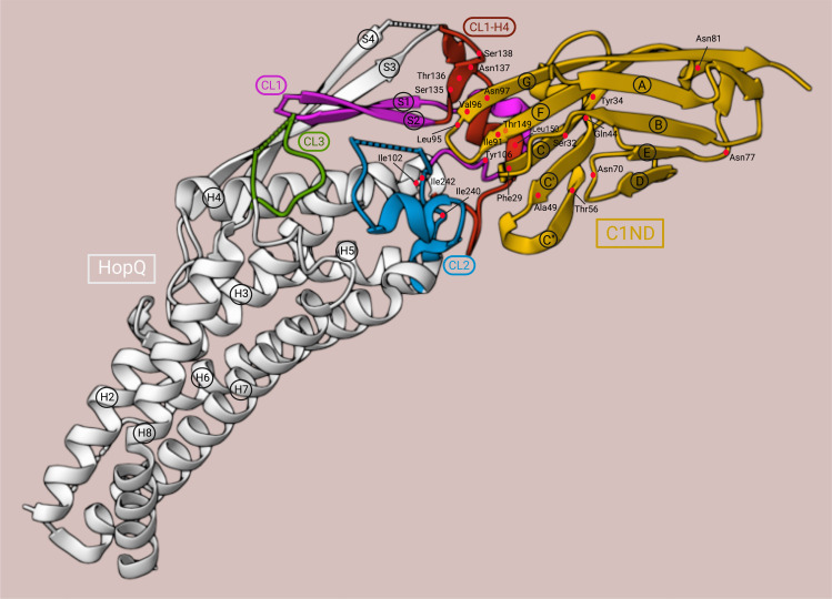 Figure 4