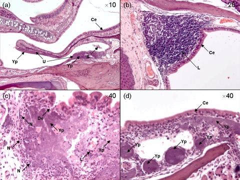 FIG. 4.