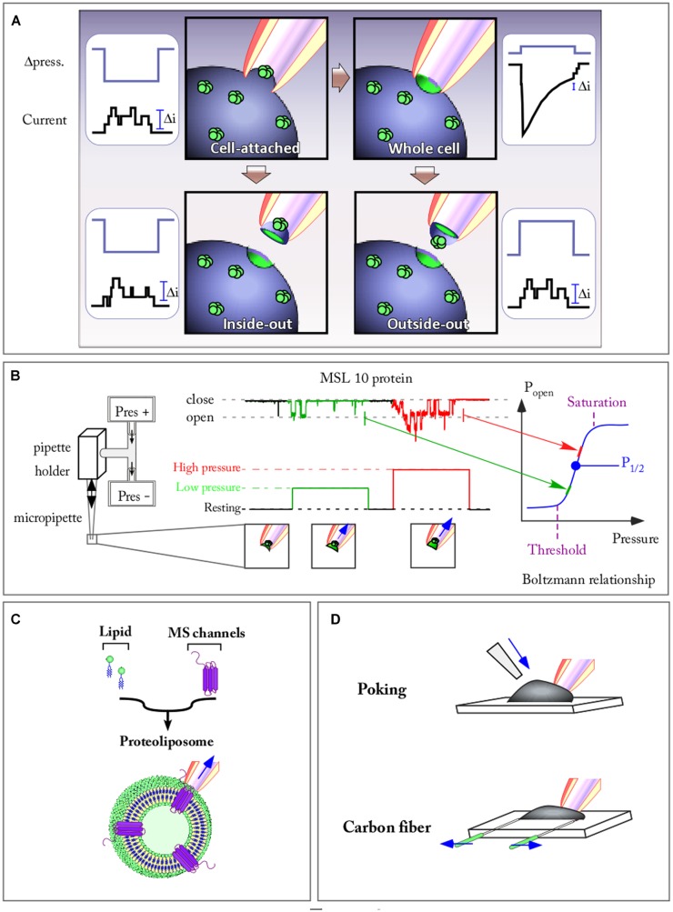 FIGURE 2