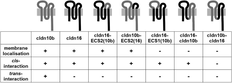 Fig. 8.