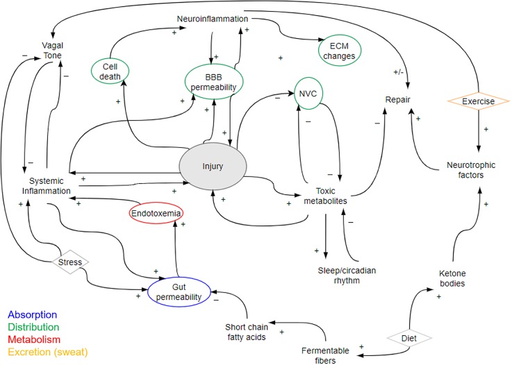 FIG. 4.