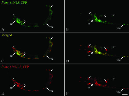 Figure 2.—