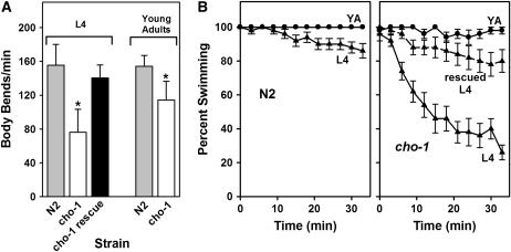 Figure 4.—