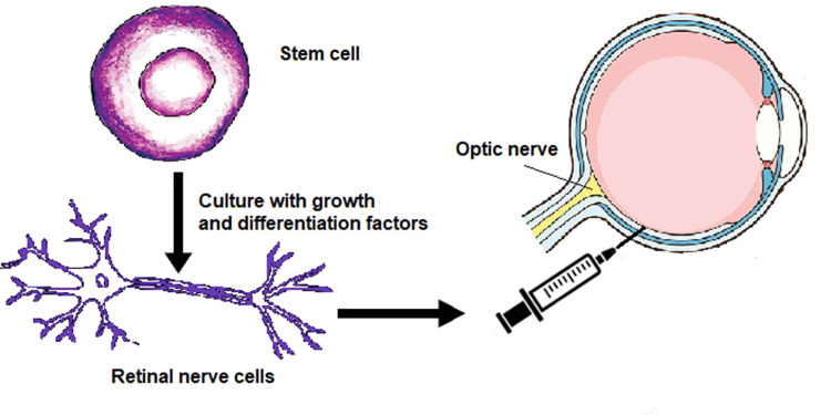 Fig. 4