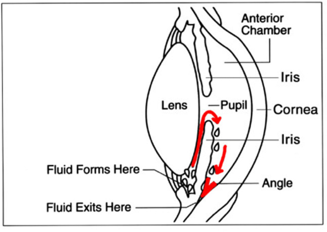 Fig. 2