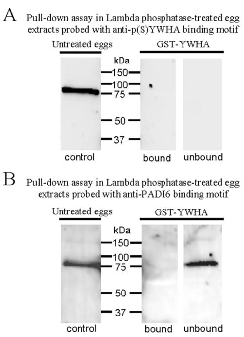 FIG. 6