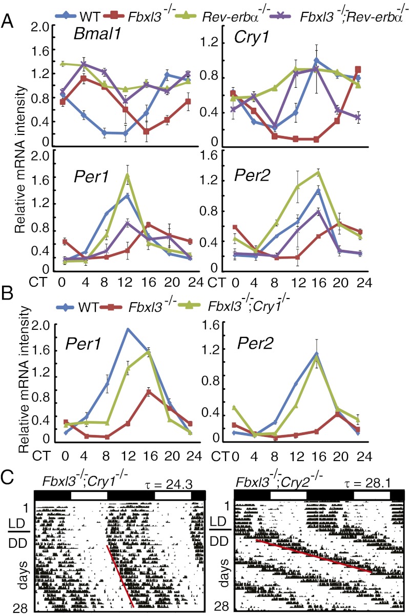 Fig. 4.