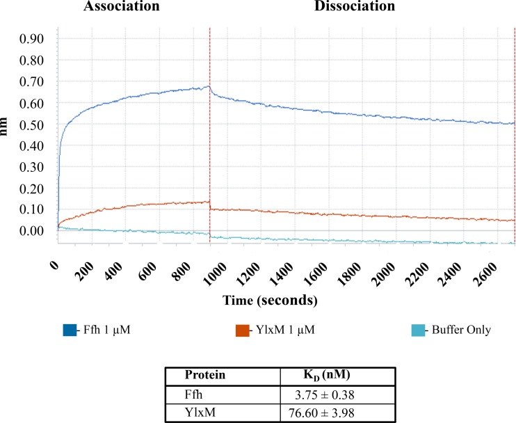 FIG 3