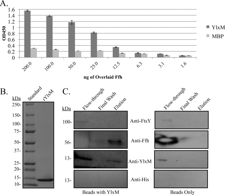 FIG 2