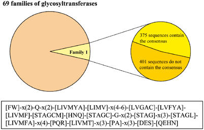 A class of plant glycosyltransferases involved in cellular homeostasis ...