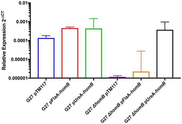 Figure 7