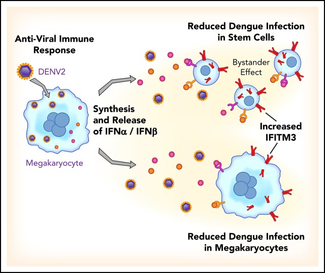 graphic file with name blood873984absf1.jpg