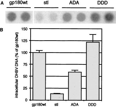 FIG. 6