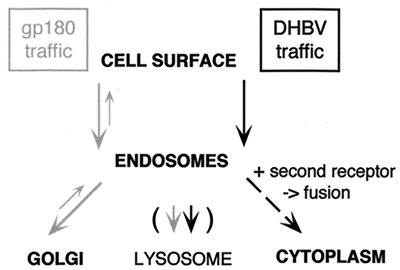 FIG. 8