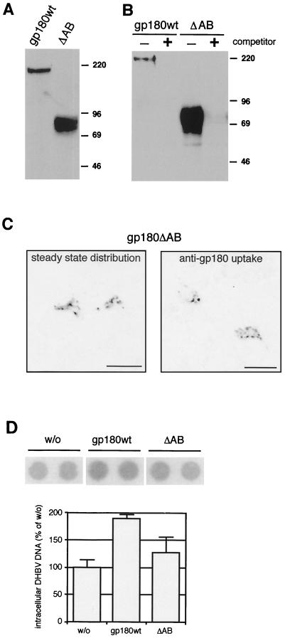 FIG. 7