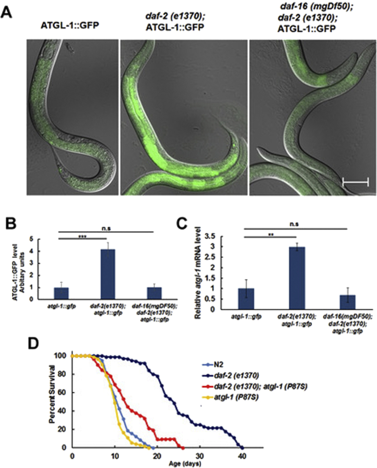 Figure 3