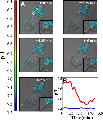 Figure 5.