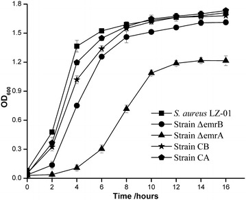 Fig. 3