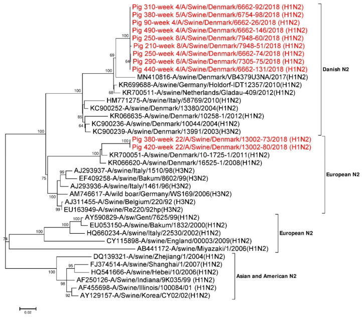 Figure 2