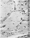 1026-1