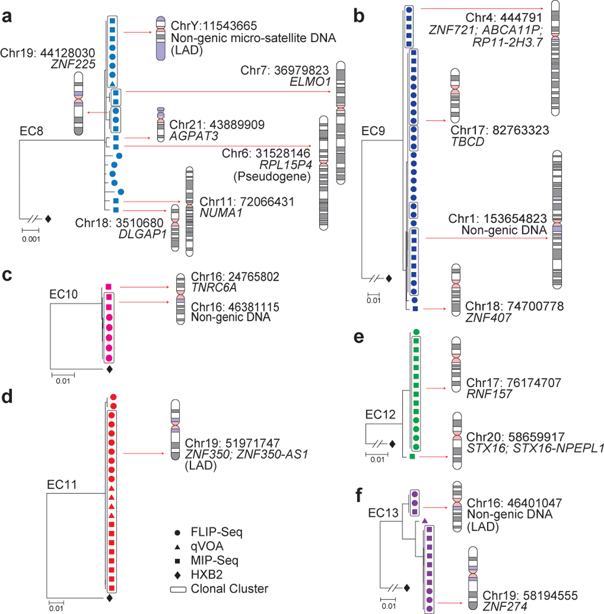 Figure 3: