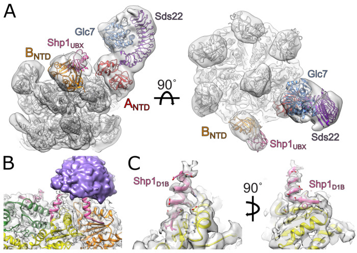 Figure 4.