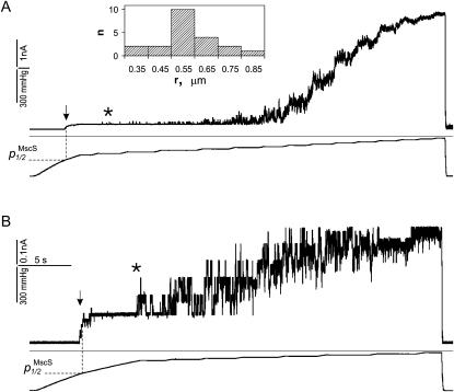 FIGURE 1