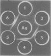 424