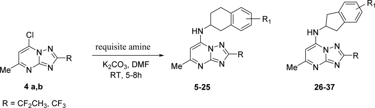 Scheme 1