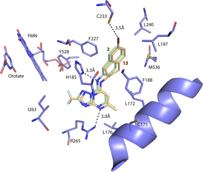 Figure 2