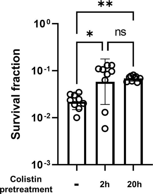 Fig 5