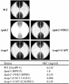 FIG. 4.