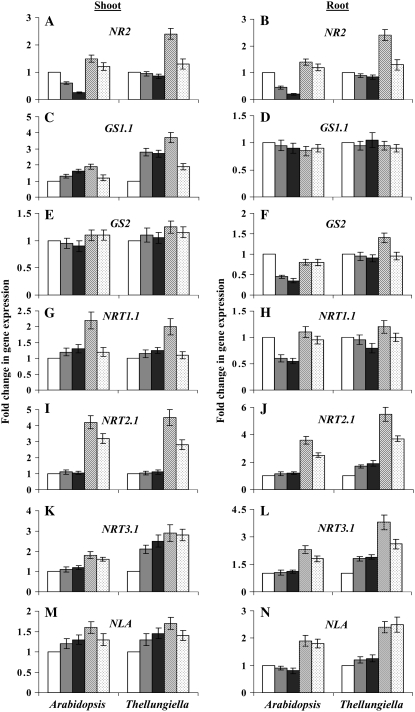 Figure 6.