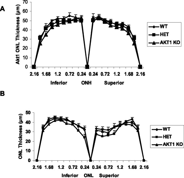 Figure 9.