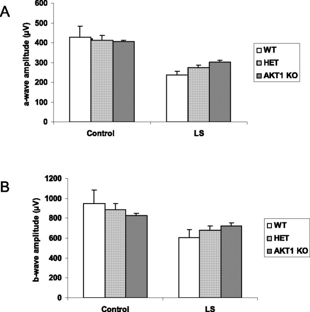 Figure 10.